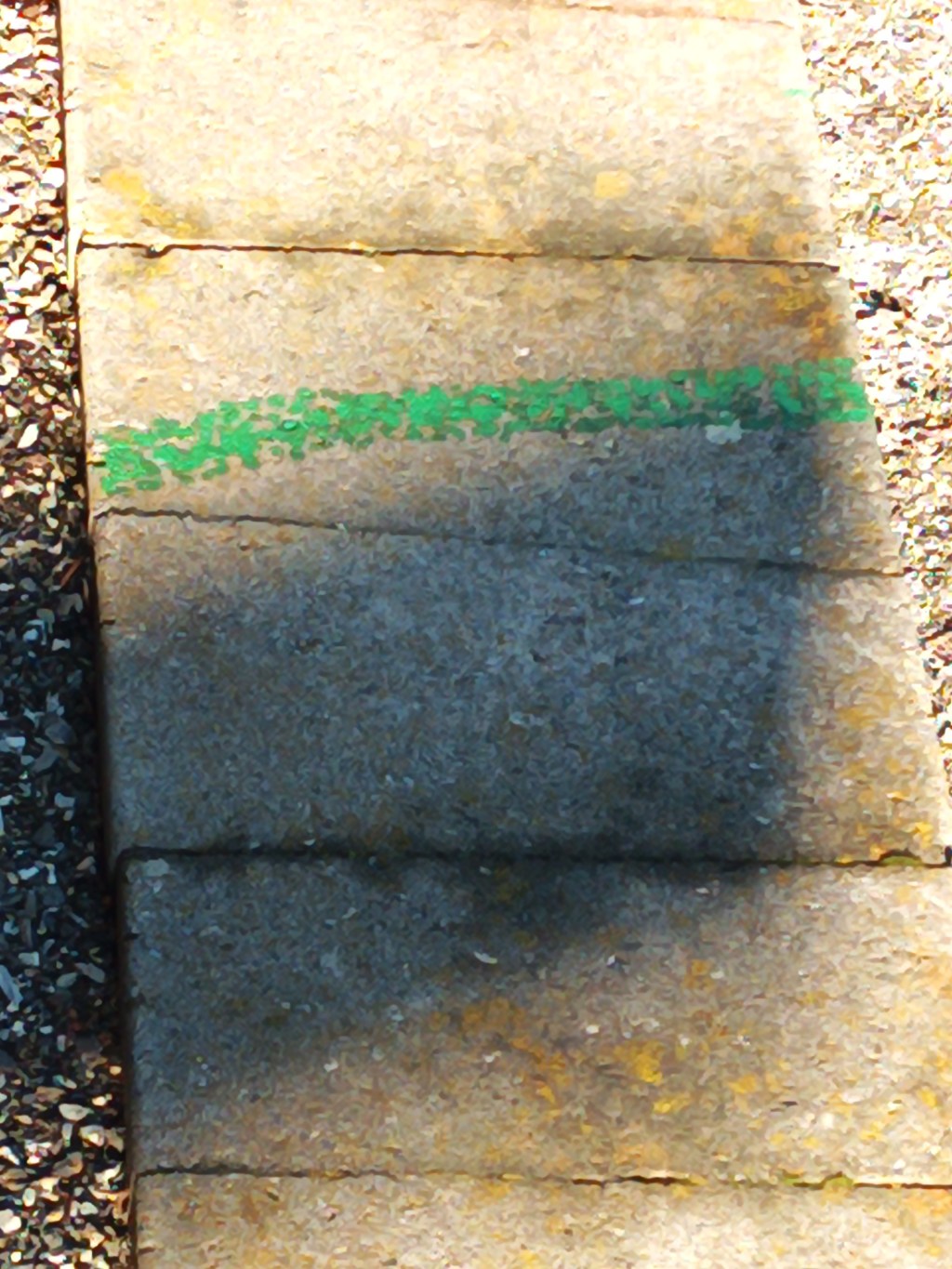 Tracking the Changing&nbsp;Seasons