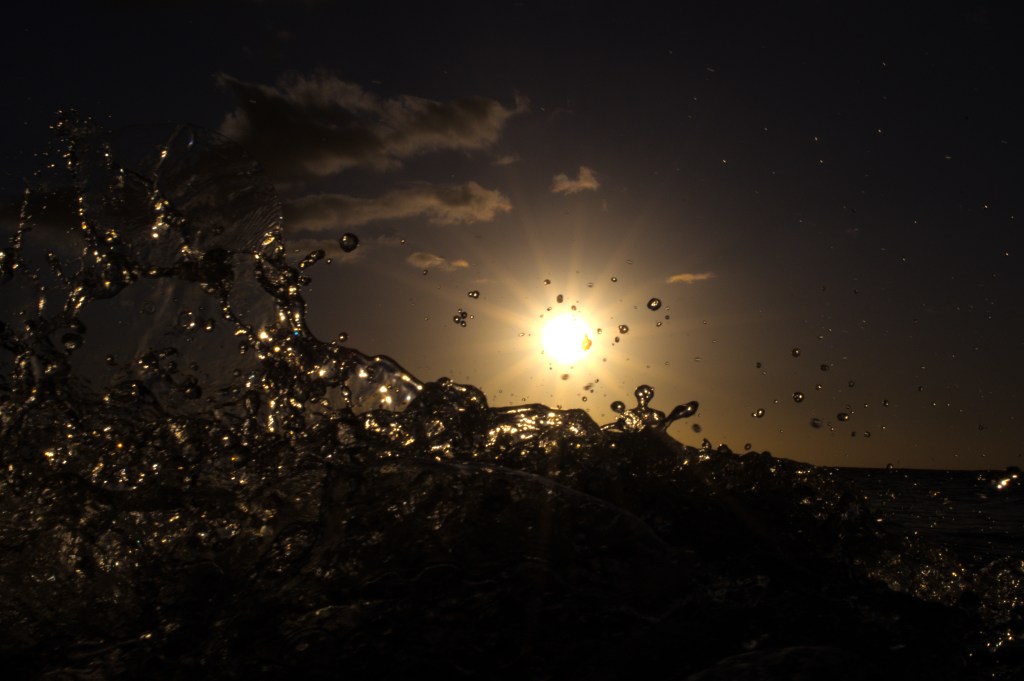 2023: A “Year of Photos” Contest